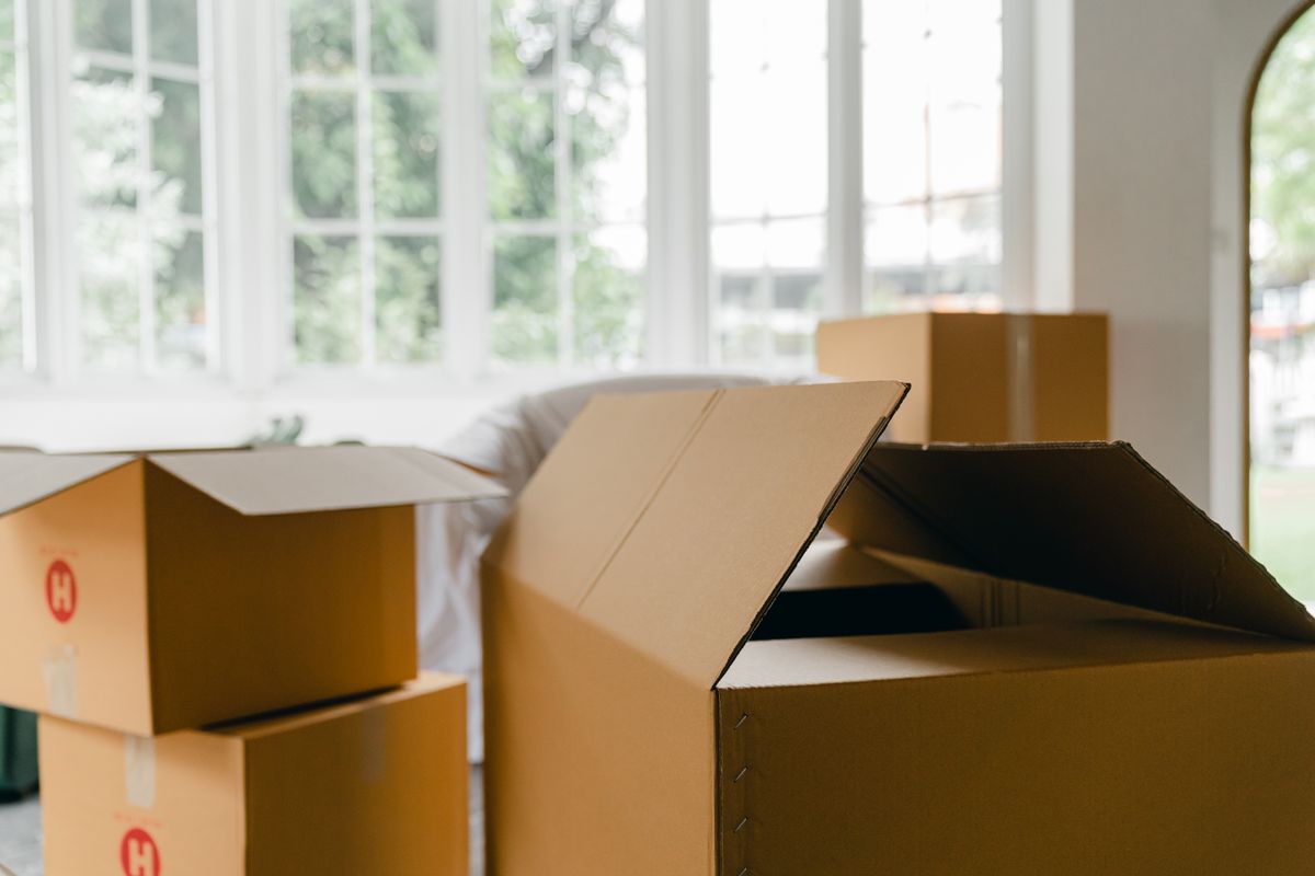 Moving boxes in a sunlit home