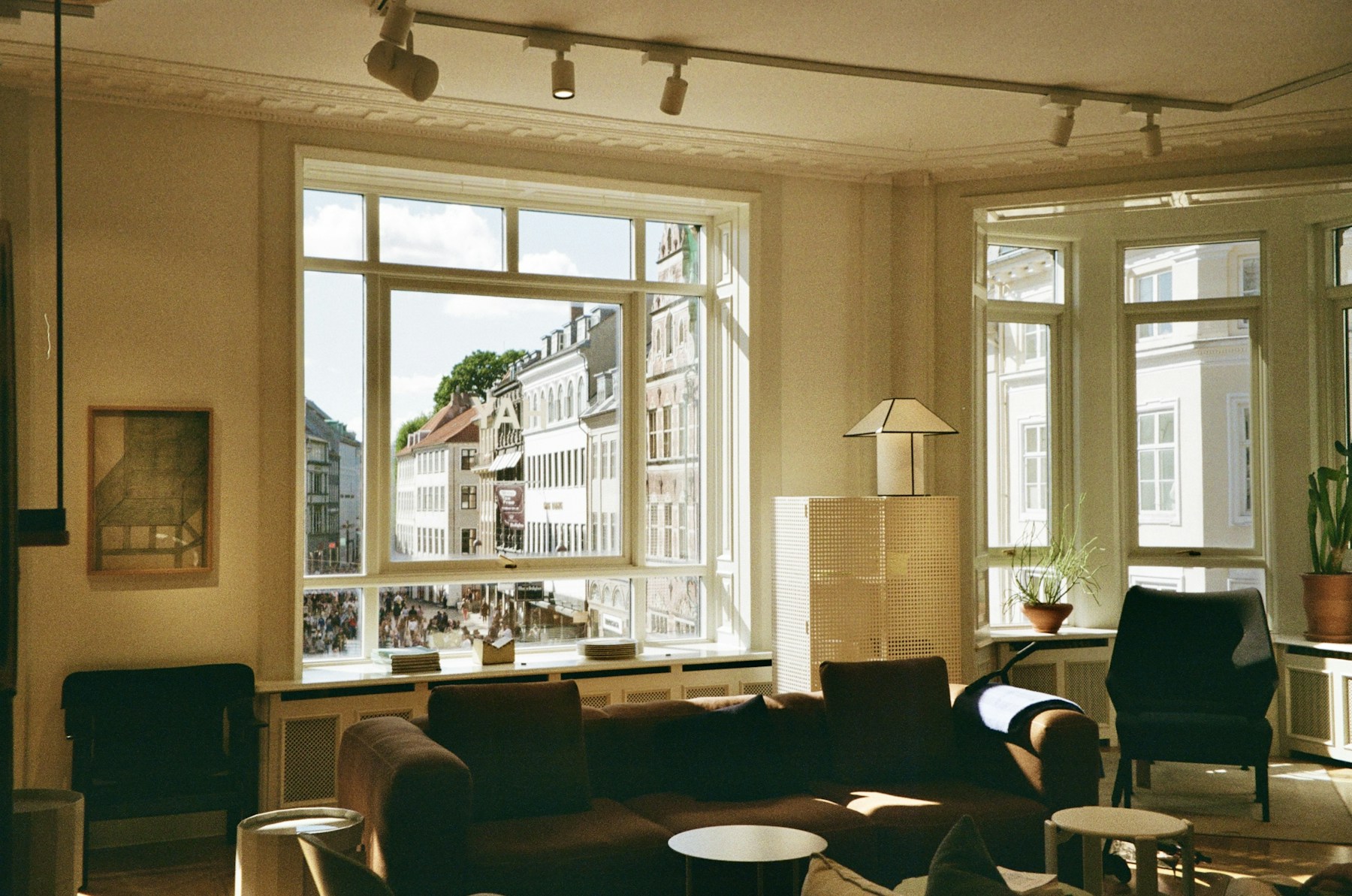 A peaceful, sunlit living room